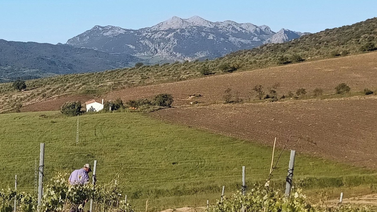 Photo of Others in Montecorto