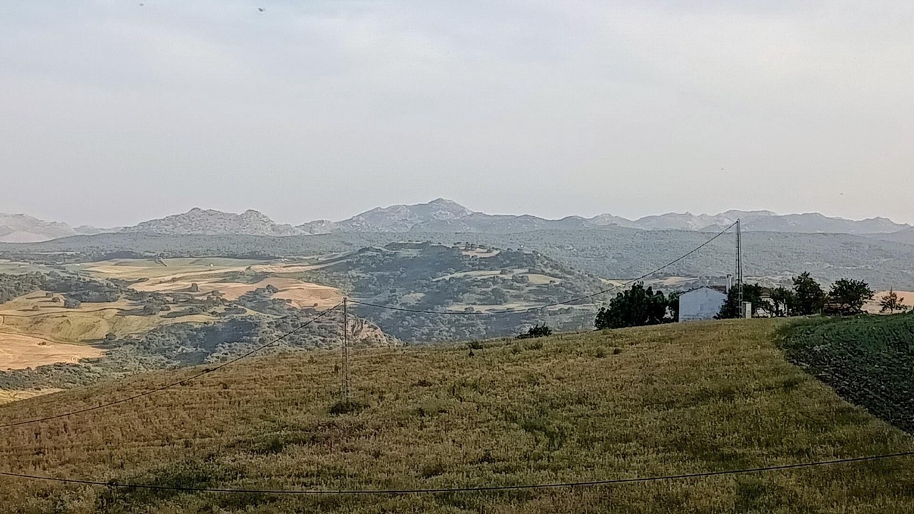 Photo of Others in Montecorto