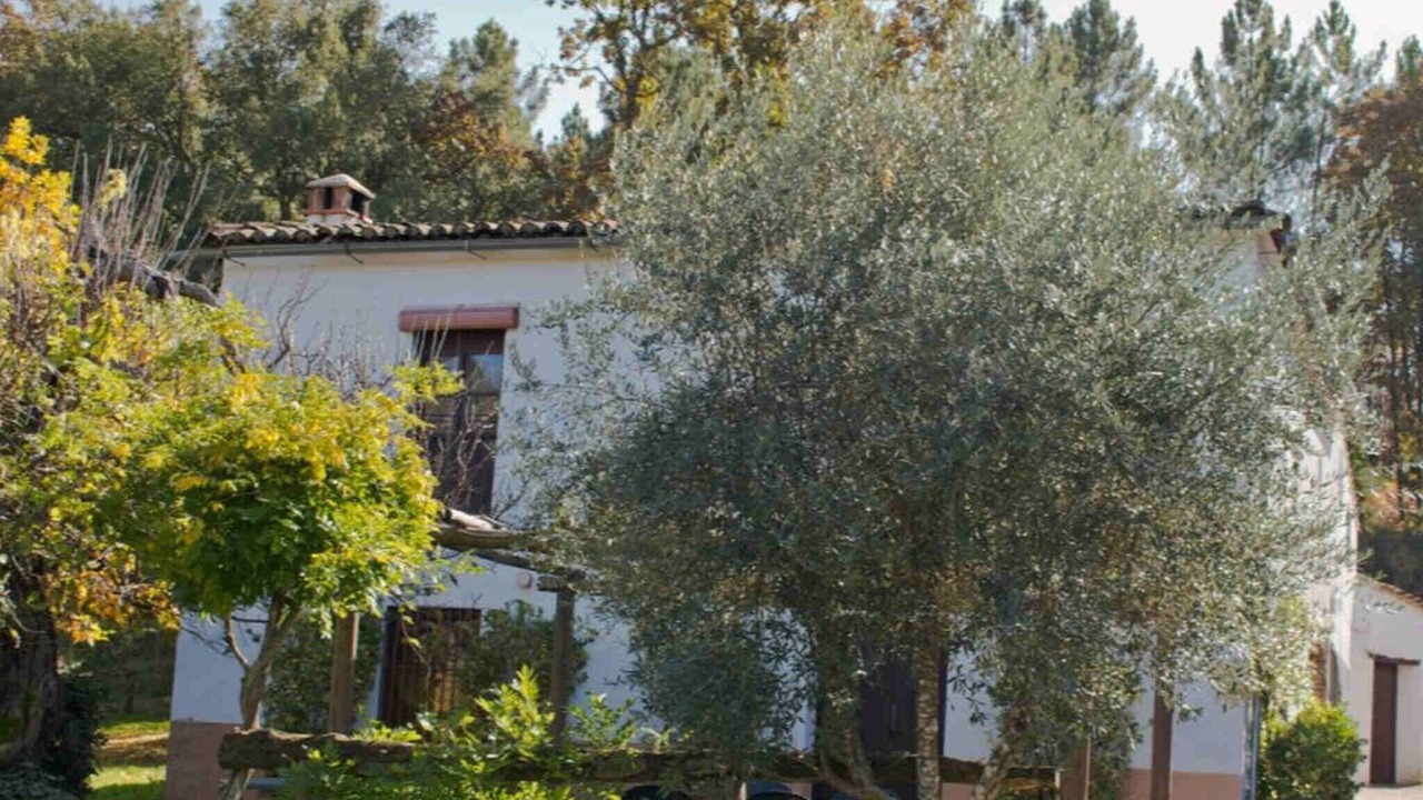 Photo of Outdoor in Fuenteheridos