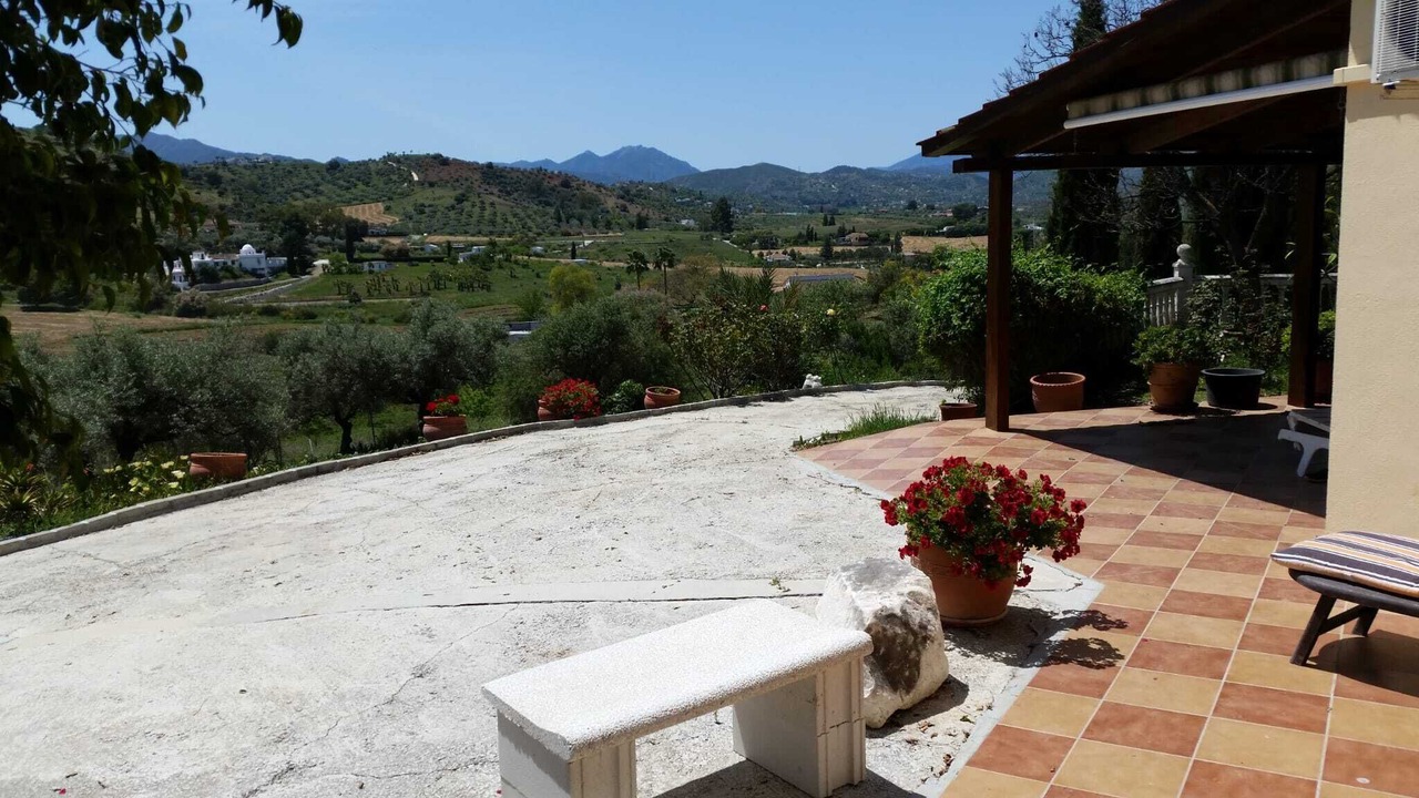 Photo of Others in Coin