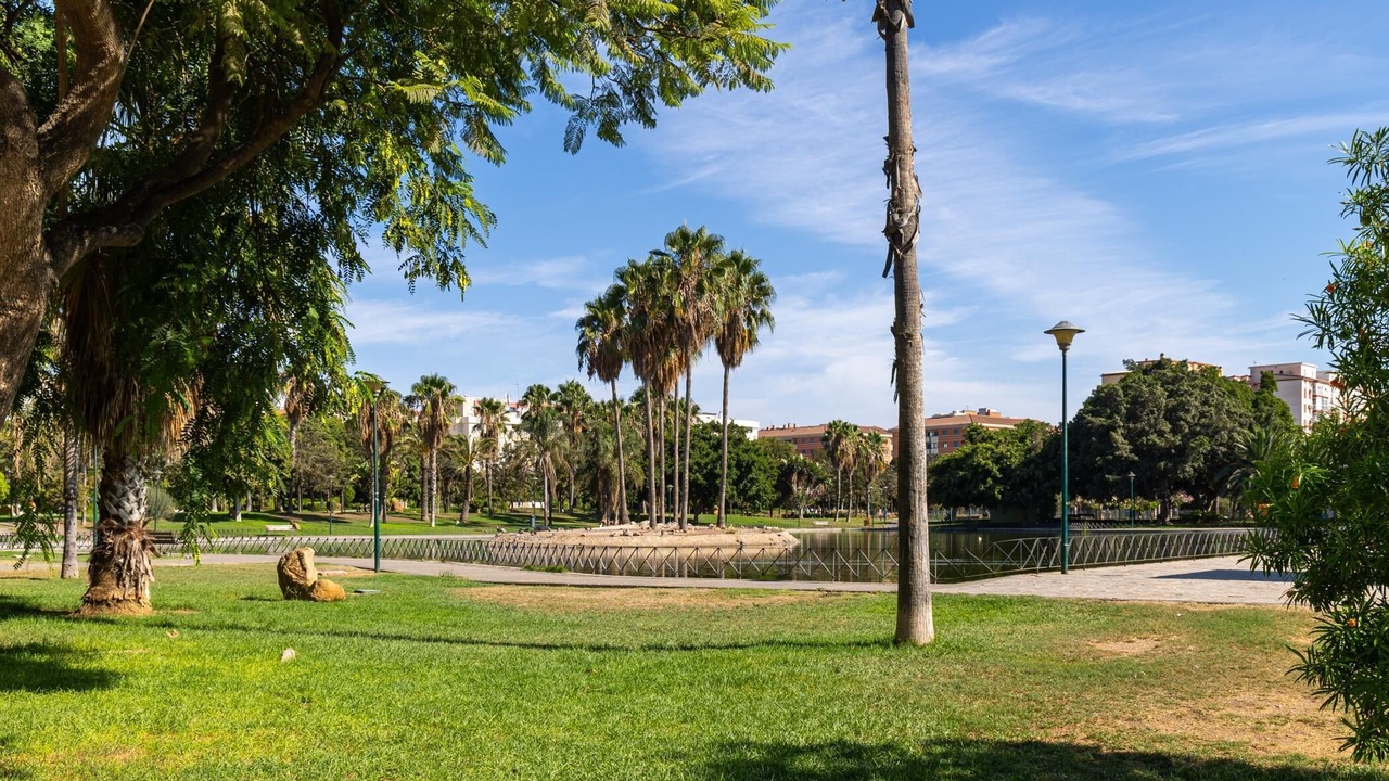 Photo of Outdoor in Parque Ayala