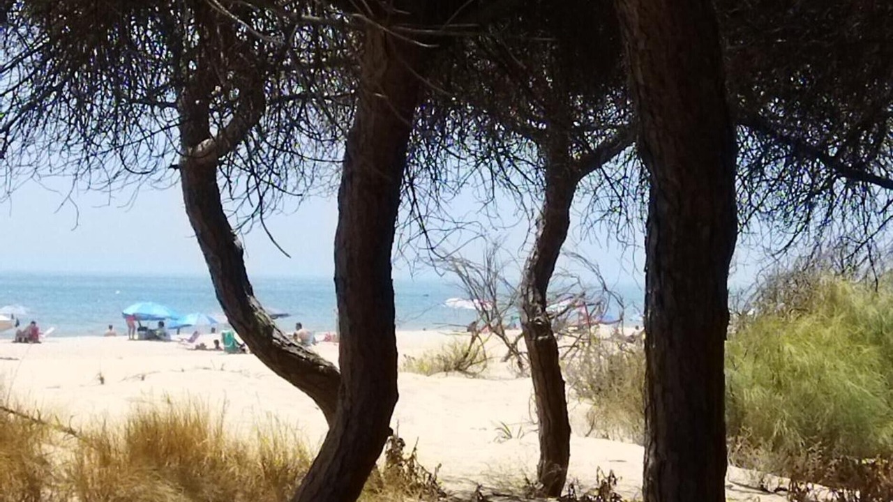 Photo of Others in Isla Cristina