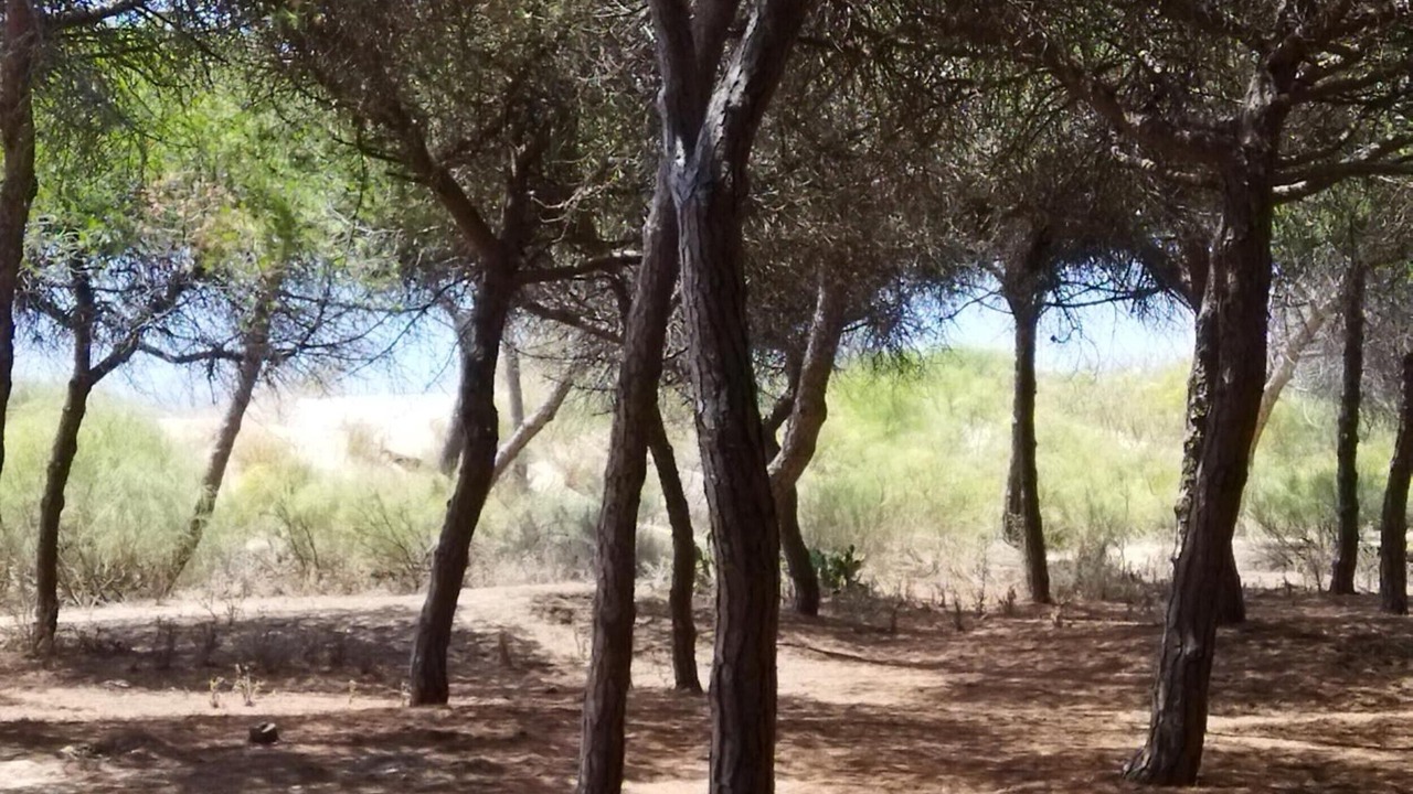 Photo of Others in Isla Cristina