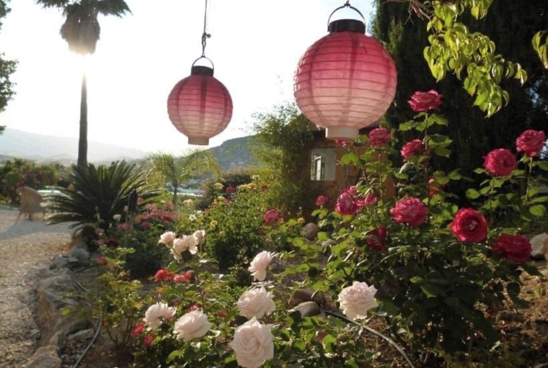 Photo of Outdoor in Alhaurin el Grande