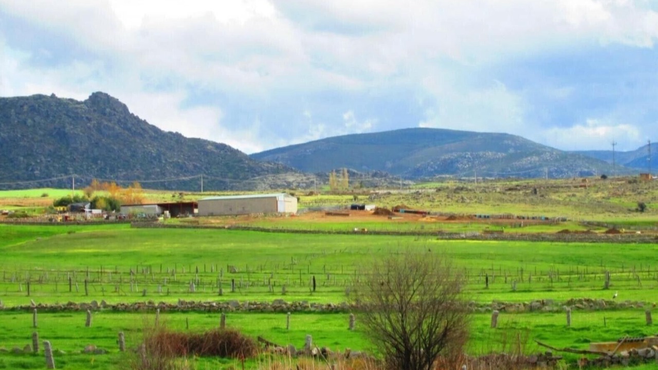 Photo of Others in Baterna