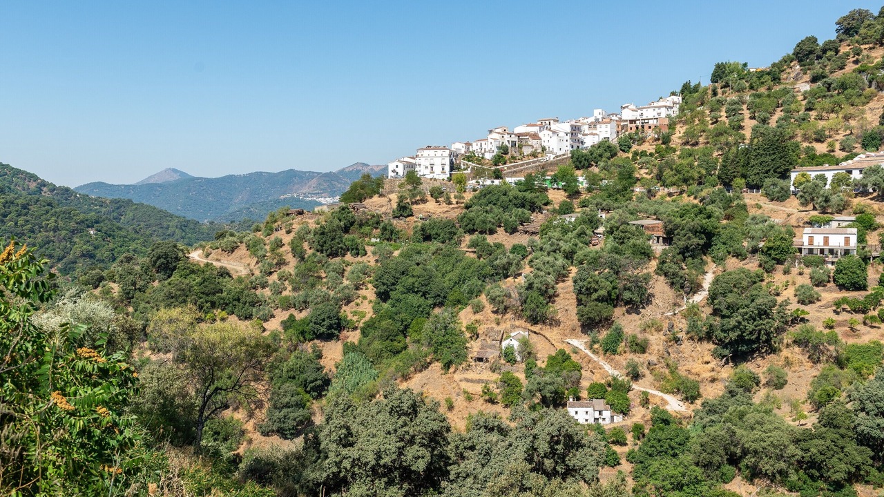 Photo of Others in Jubrique