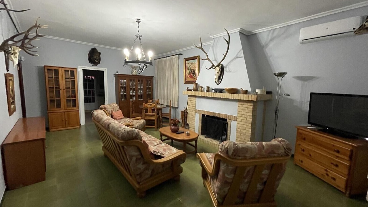 Photo of Livingroom in Guillena