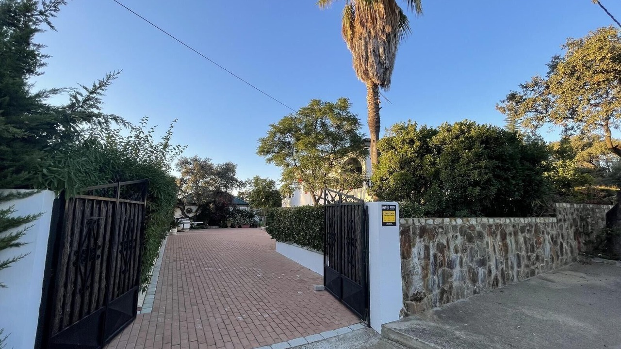 Photo of Outdoor in Guillena