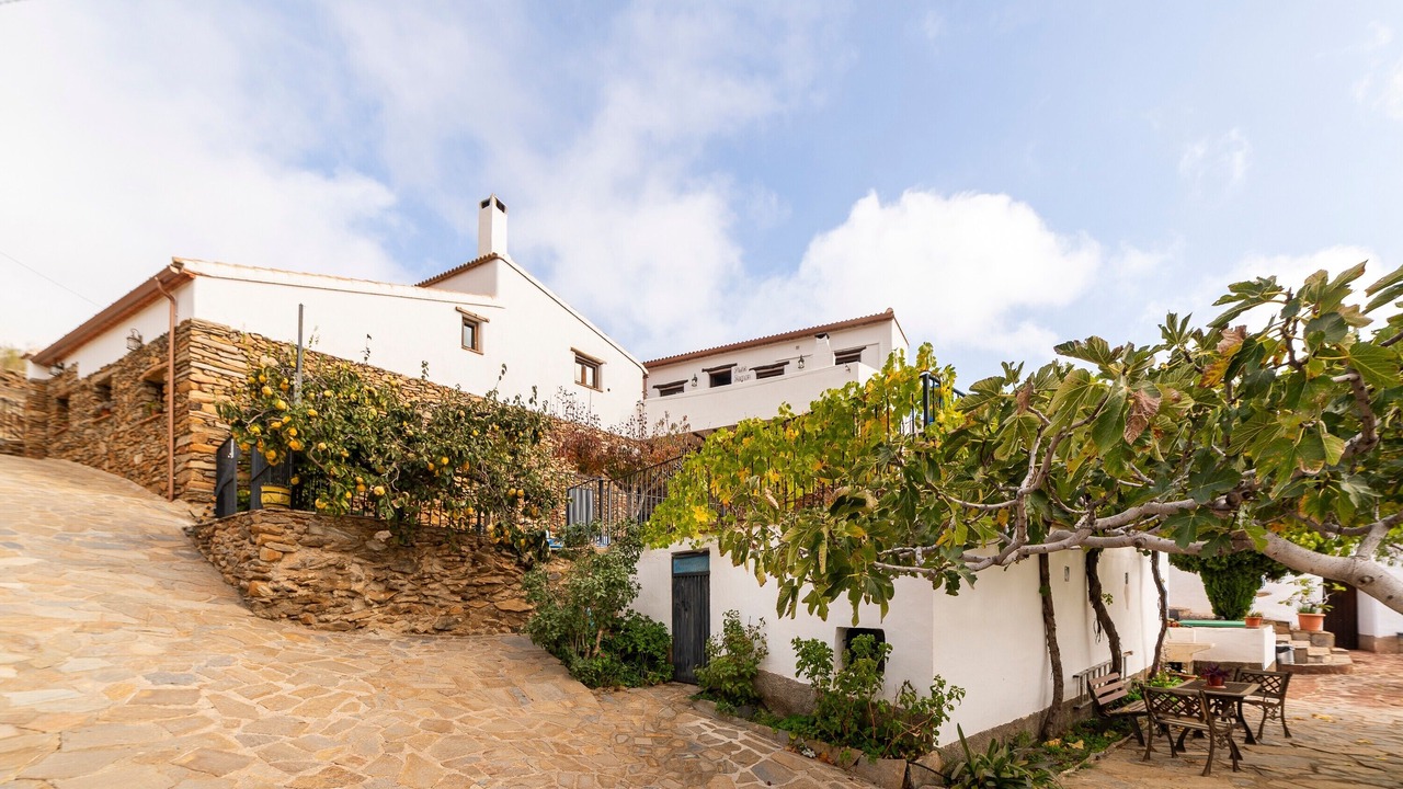 Photo of Outdoor in Laroya