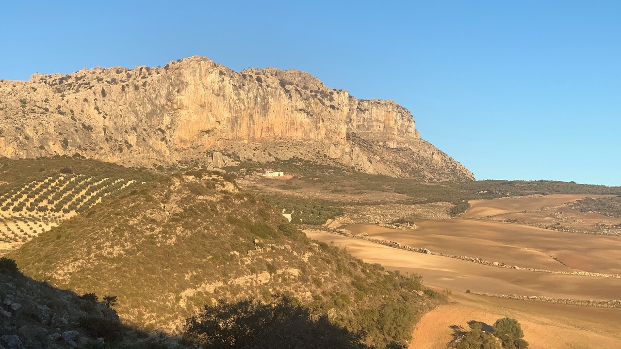 Photo of Others in Antequera
