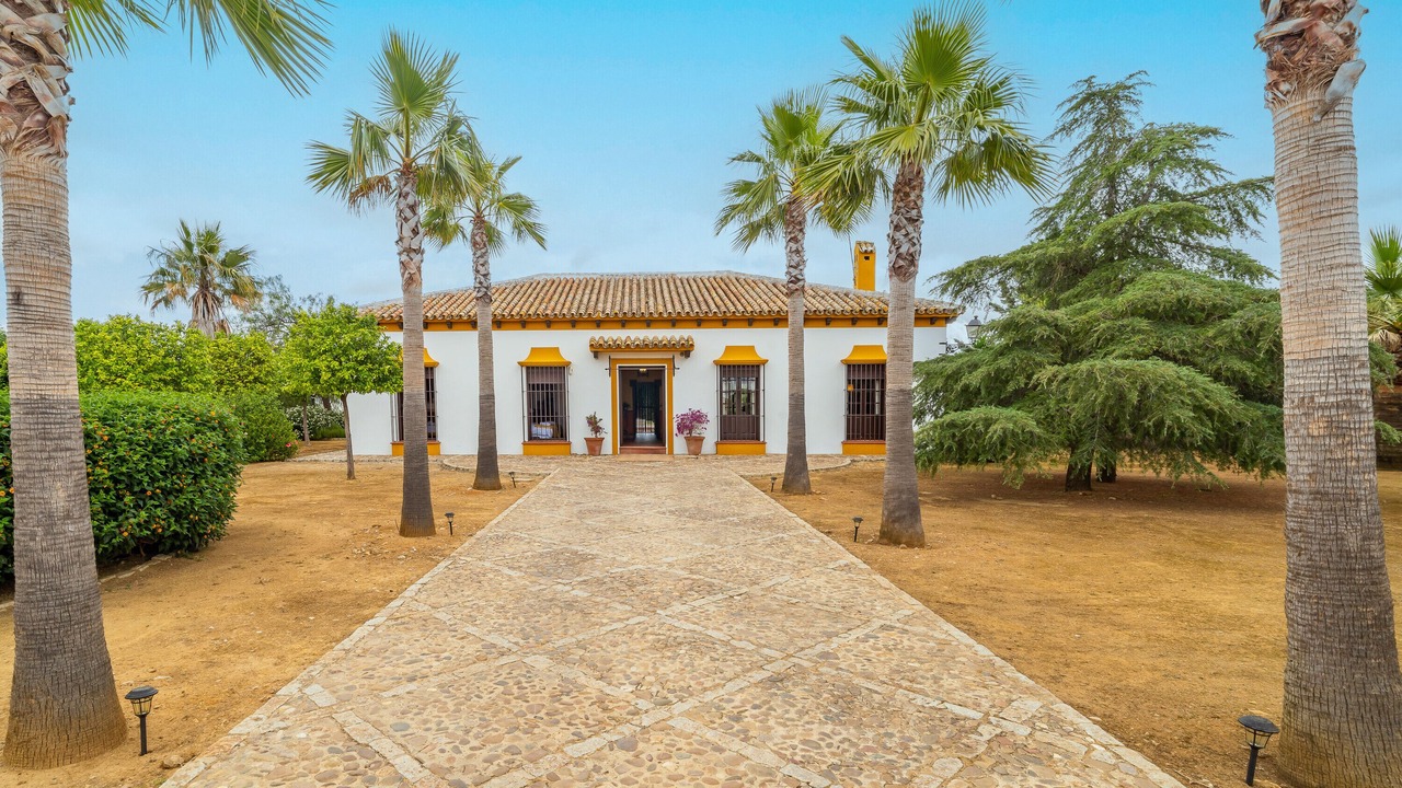 Photo of Outdoor in Marchena