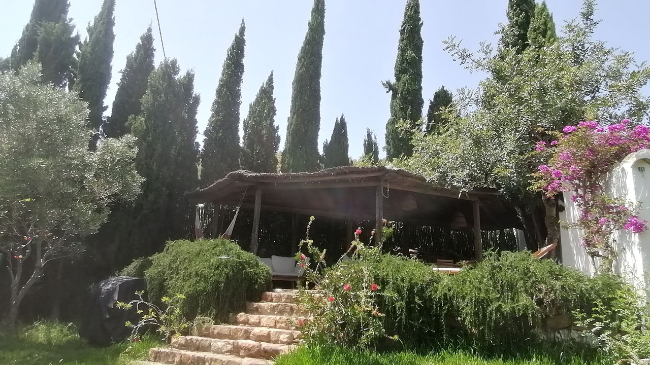 Photo of Outdoor in Bolonia