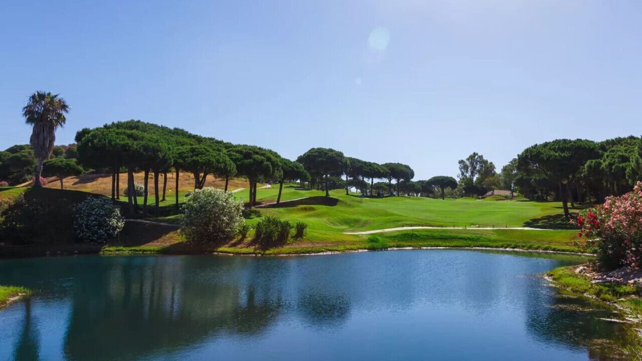 Photo of Others in Marbella