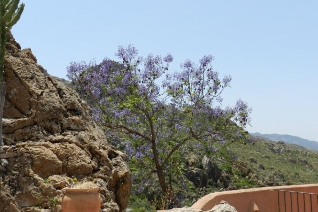 Photo of Others in El Dondo