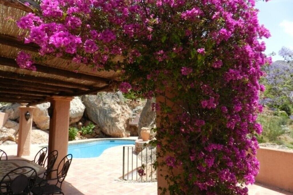 Photo of Outdoor in El Dondo