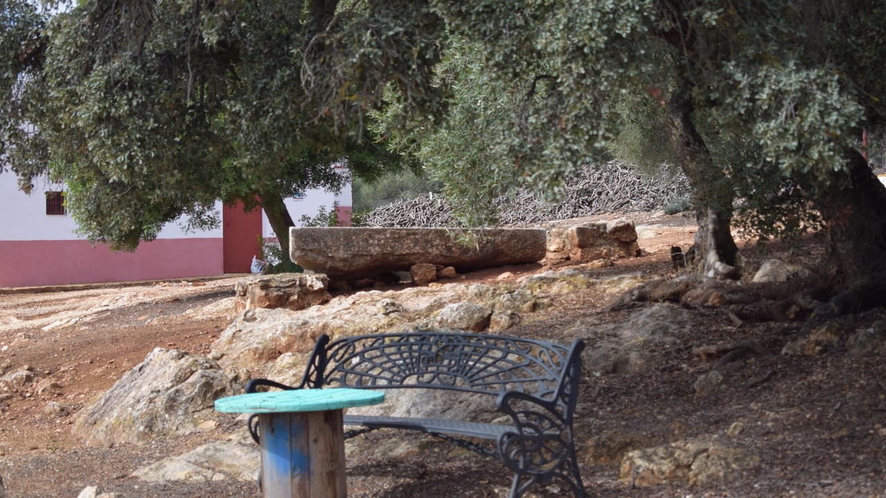 Photo of Others in Estepa