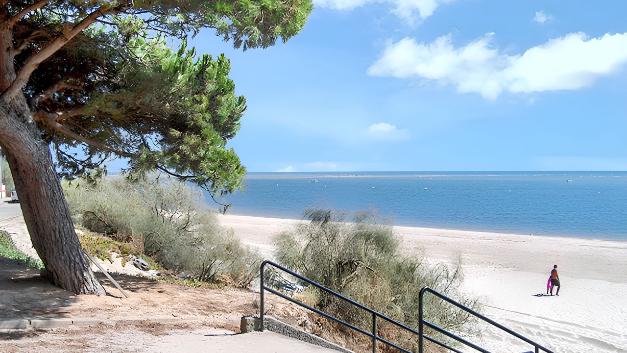 Photo of Others in Nuevo Portil