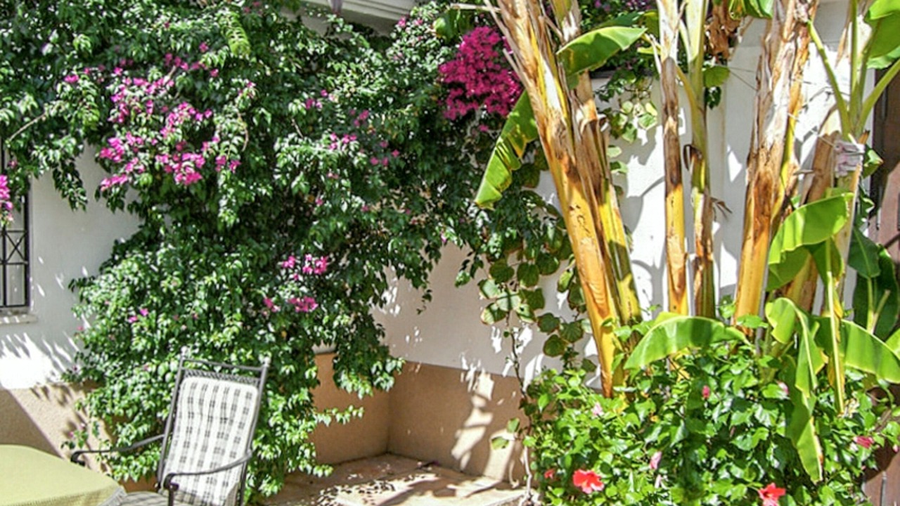 Photo of Outdoor in Nuevo Portil