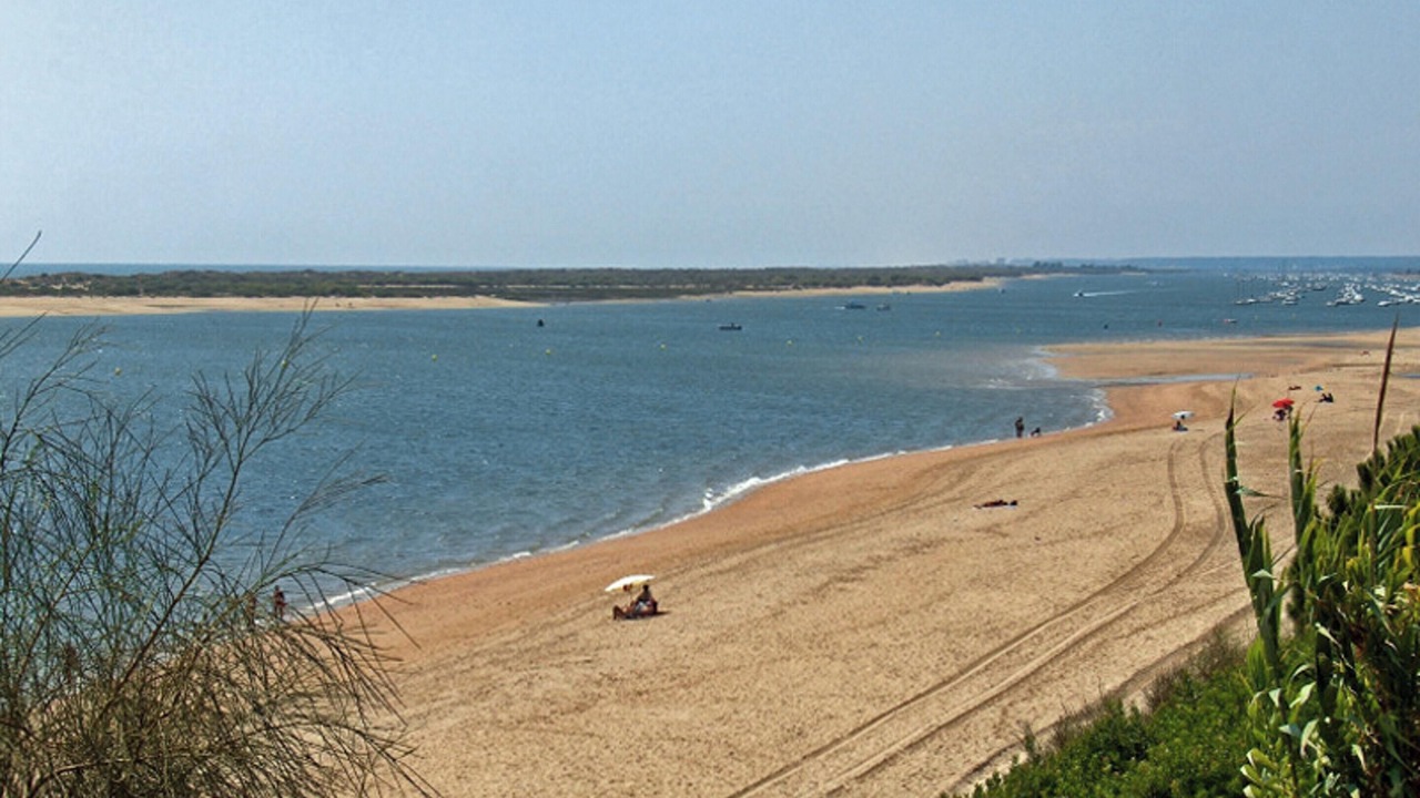 Photo of Others in Nuevo Portil