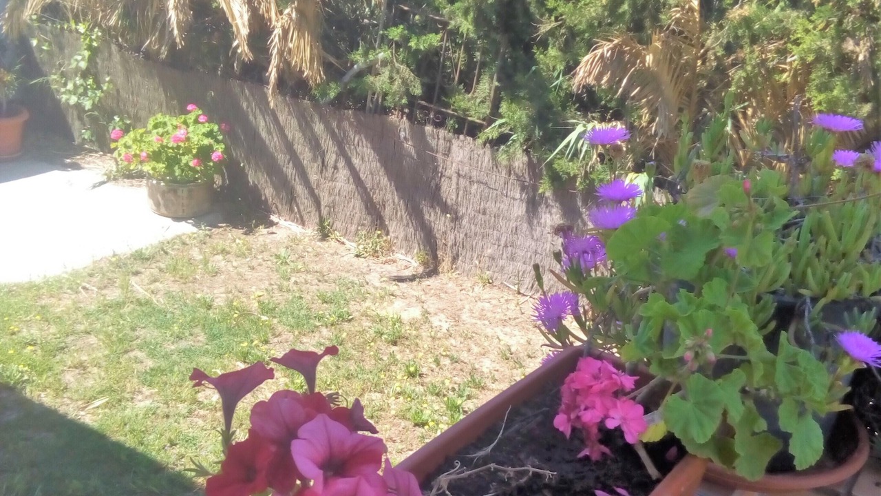 Photo of Outdoor in Medina-Sidonia