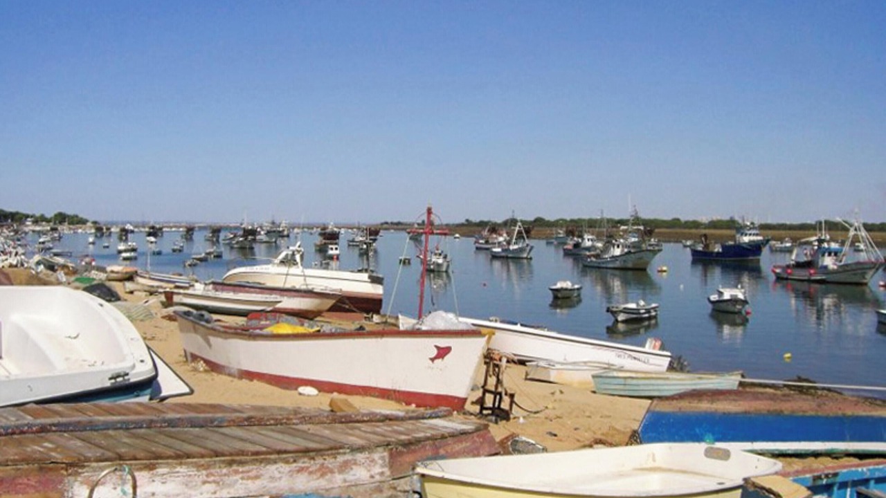 Photo of Others in Nuevo Portil