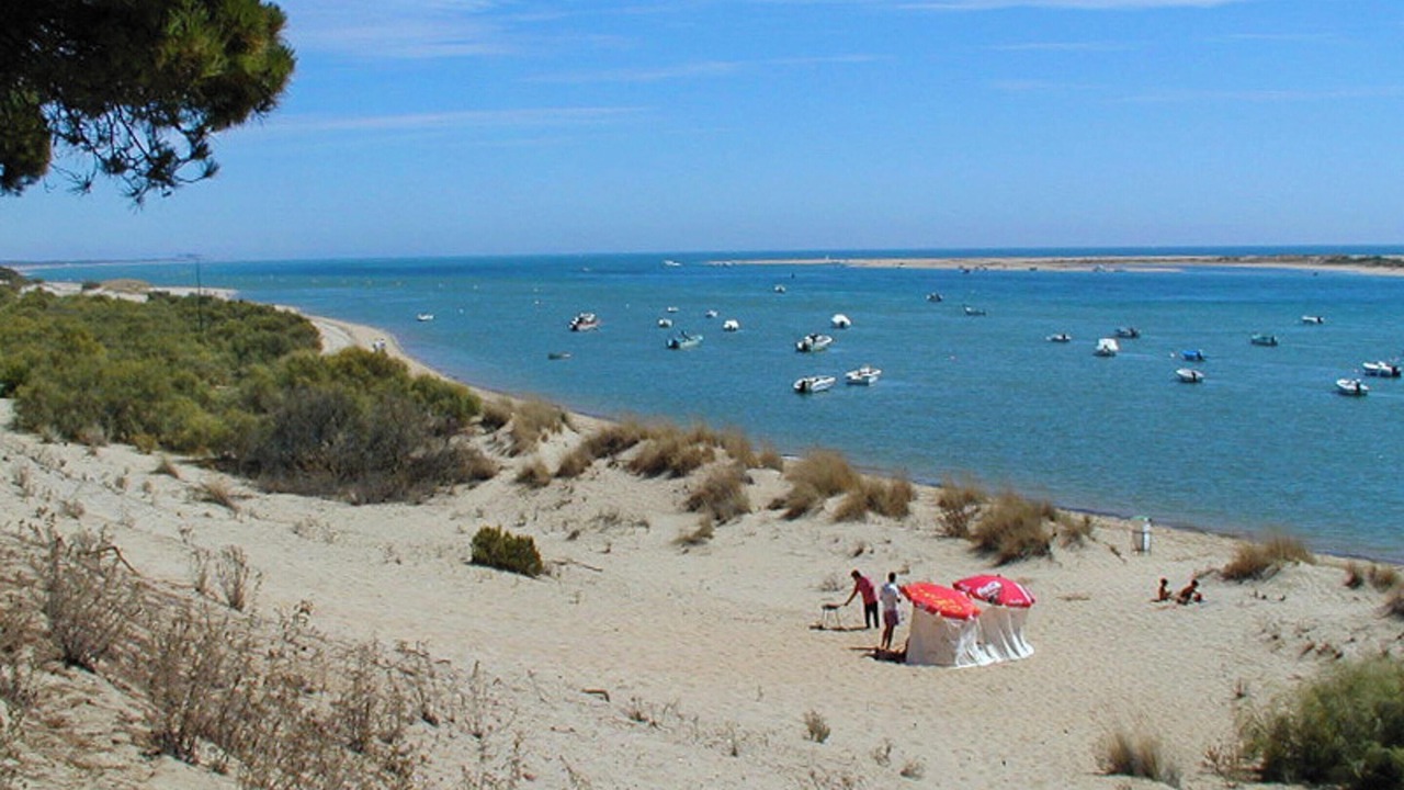 Photo of Others in Nuevo Portil