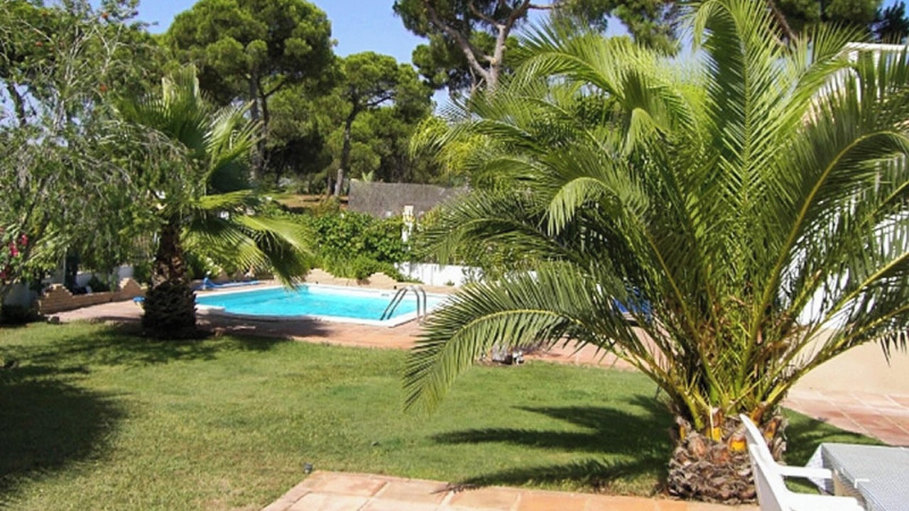 Photo of Outdoor in Nuevo Portil