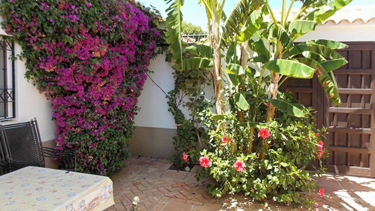 Photo of Outdoor in Nuevo Portil