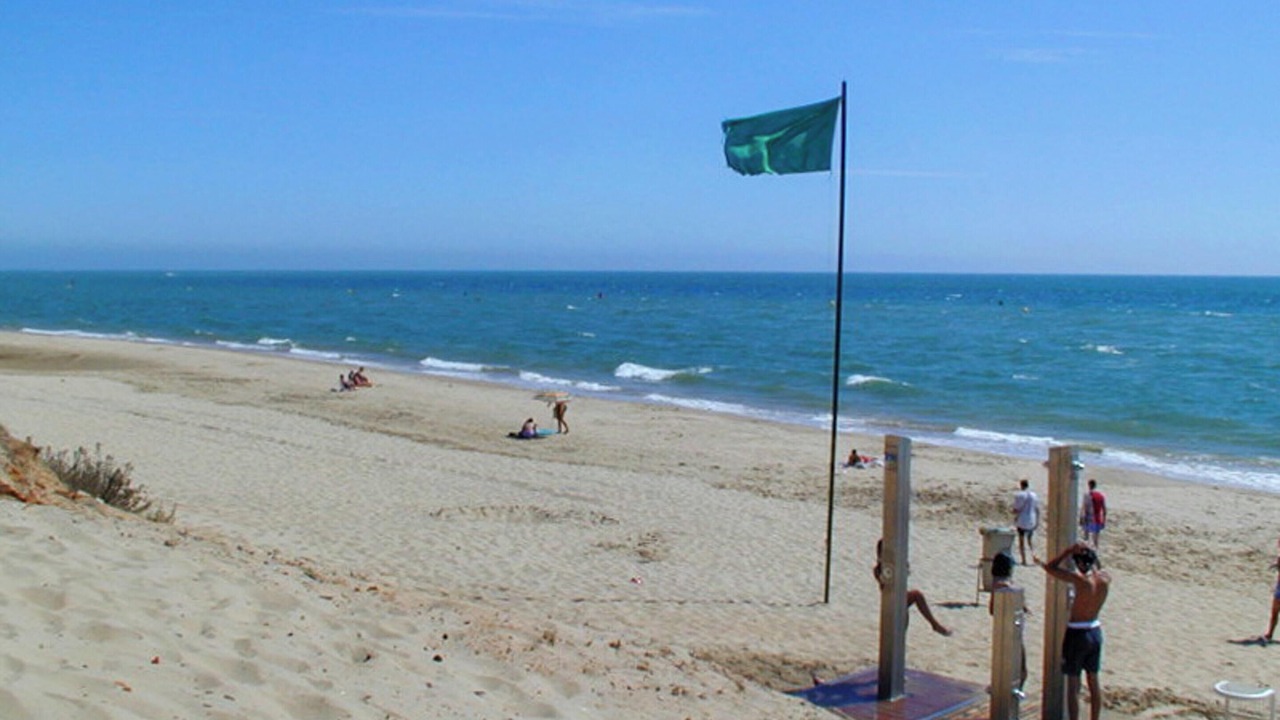 Photo of Others in Nuevo Portil