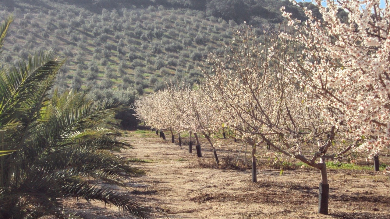 Photo of Outdoor in Estepa
