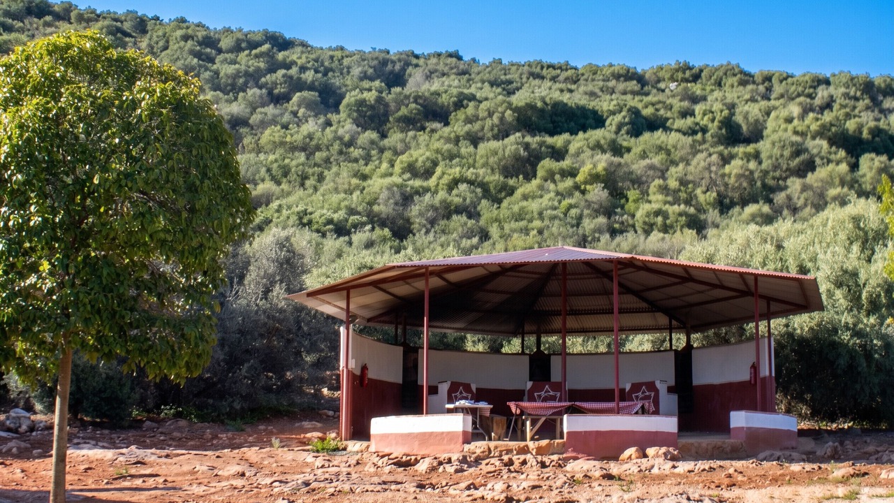 Photo of Outdoor in Estepa