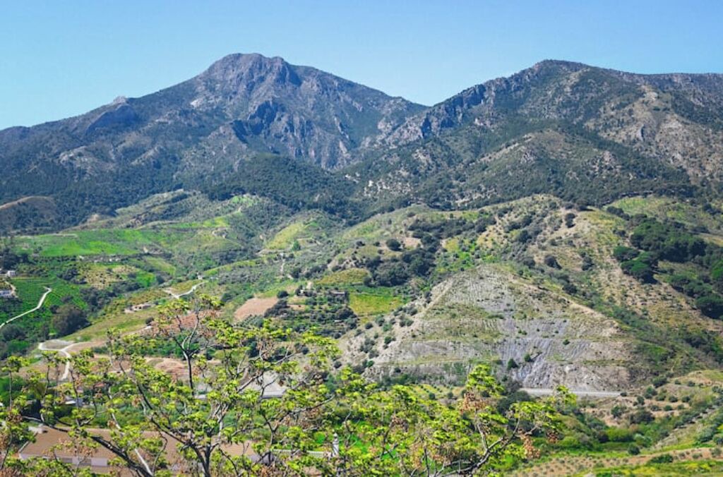 Photo of Outdoor in Carratraca