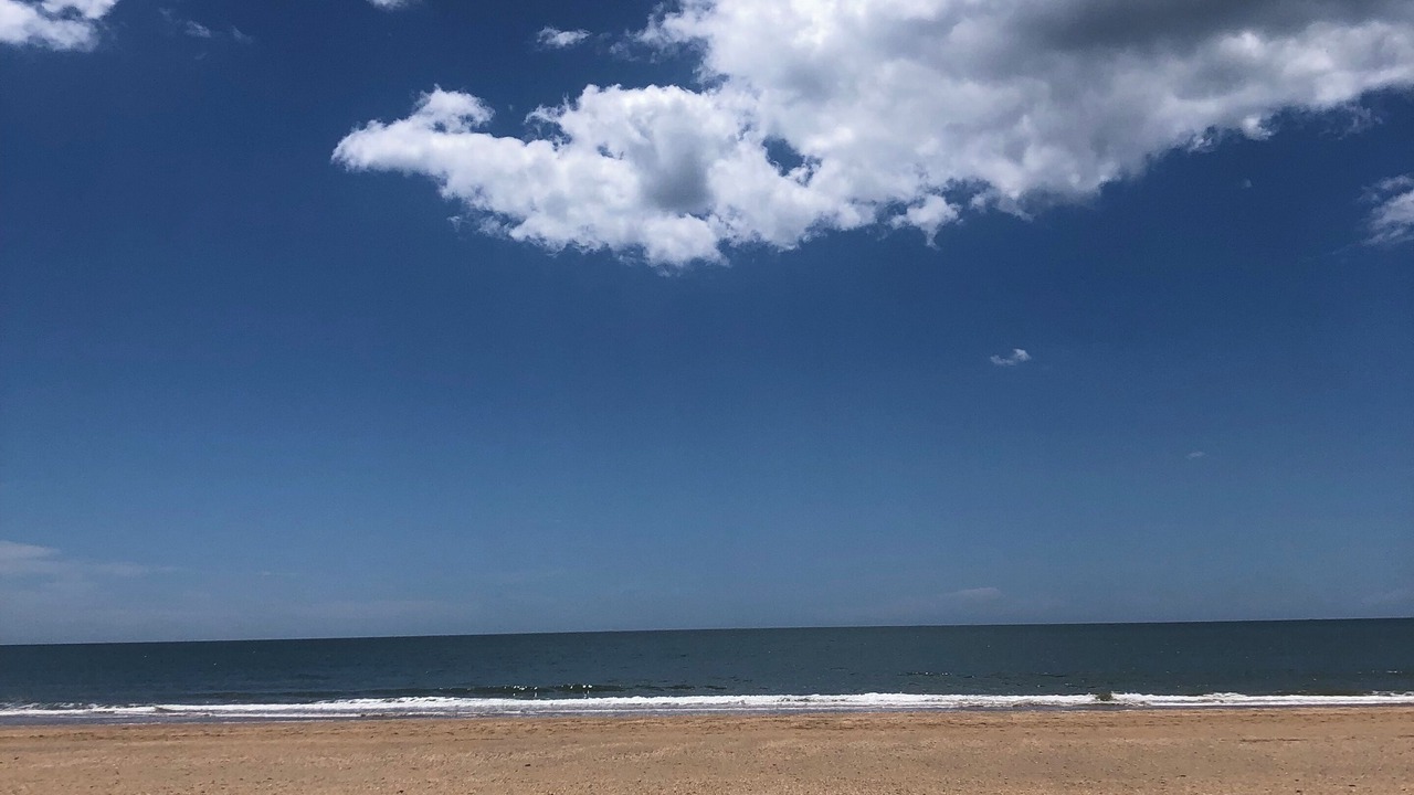 Photo of Others in El Portil