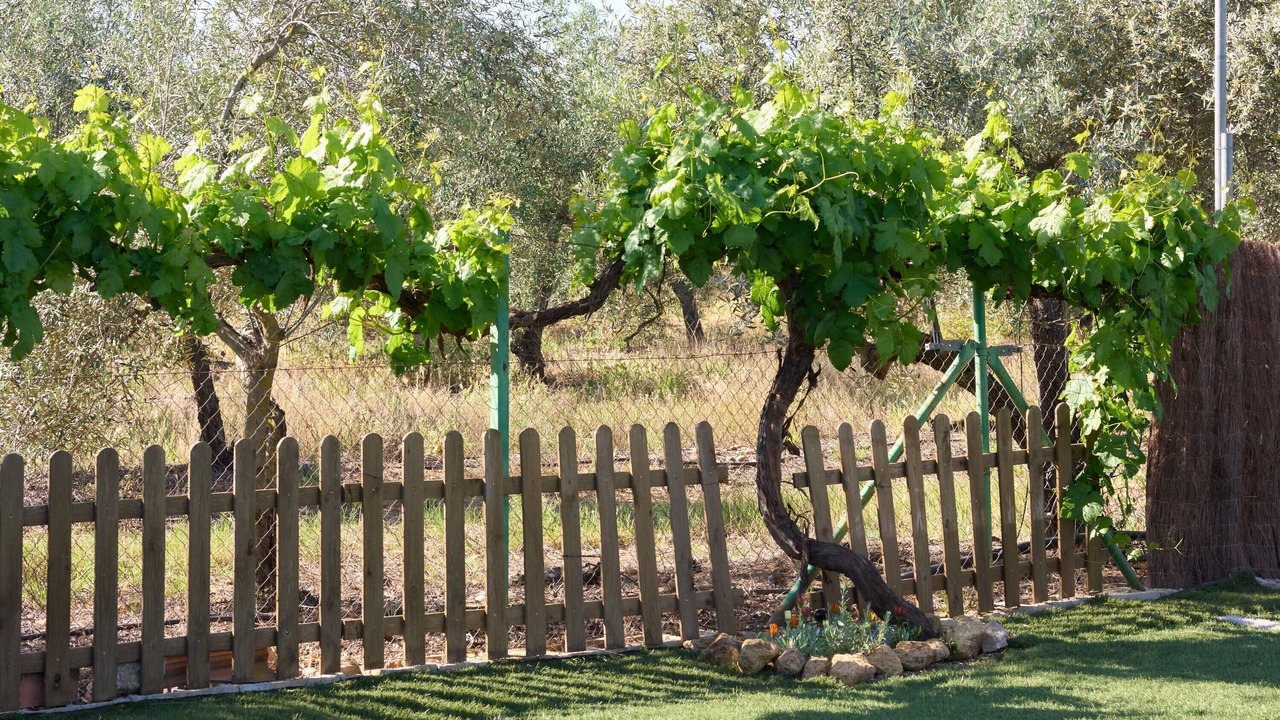 Photo of Outdoor in La Carlota
