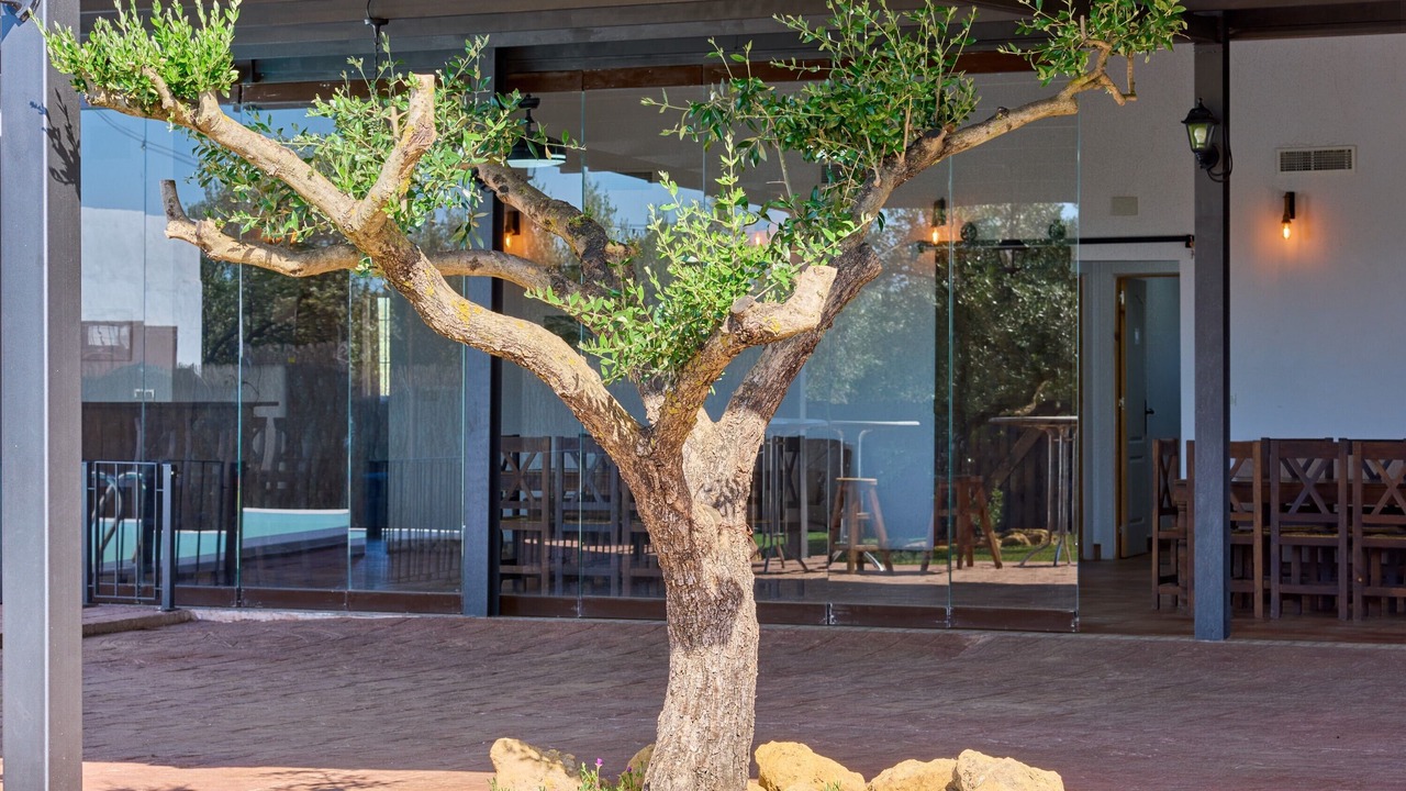 Photo of Outdoor in La Carlota