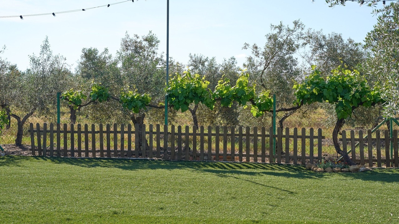 Photo of Outdoor in La Carlota