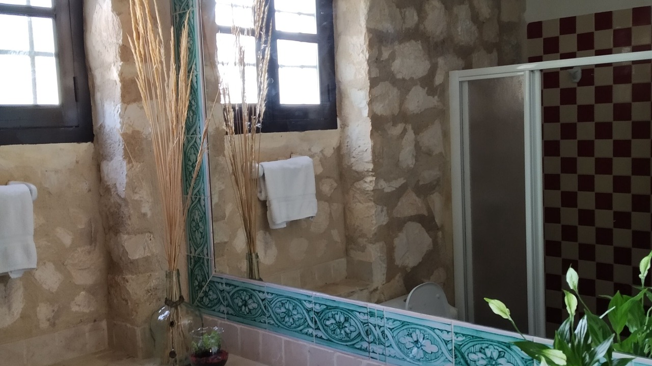 Photo of Bathroom in Osuna