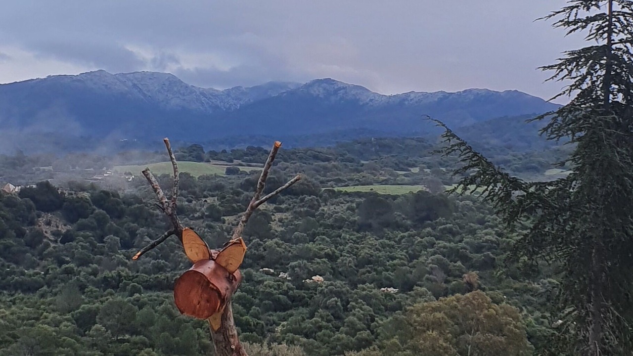 Photo of Outdoor in Gaucin
