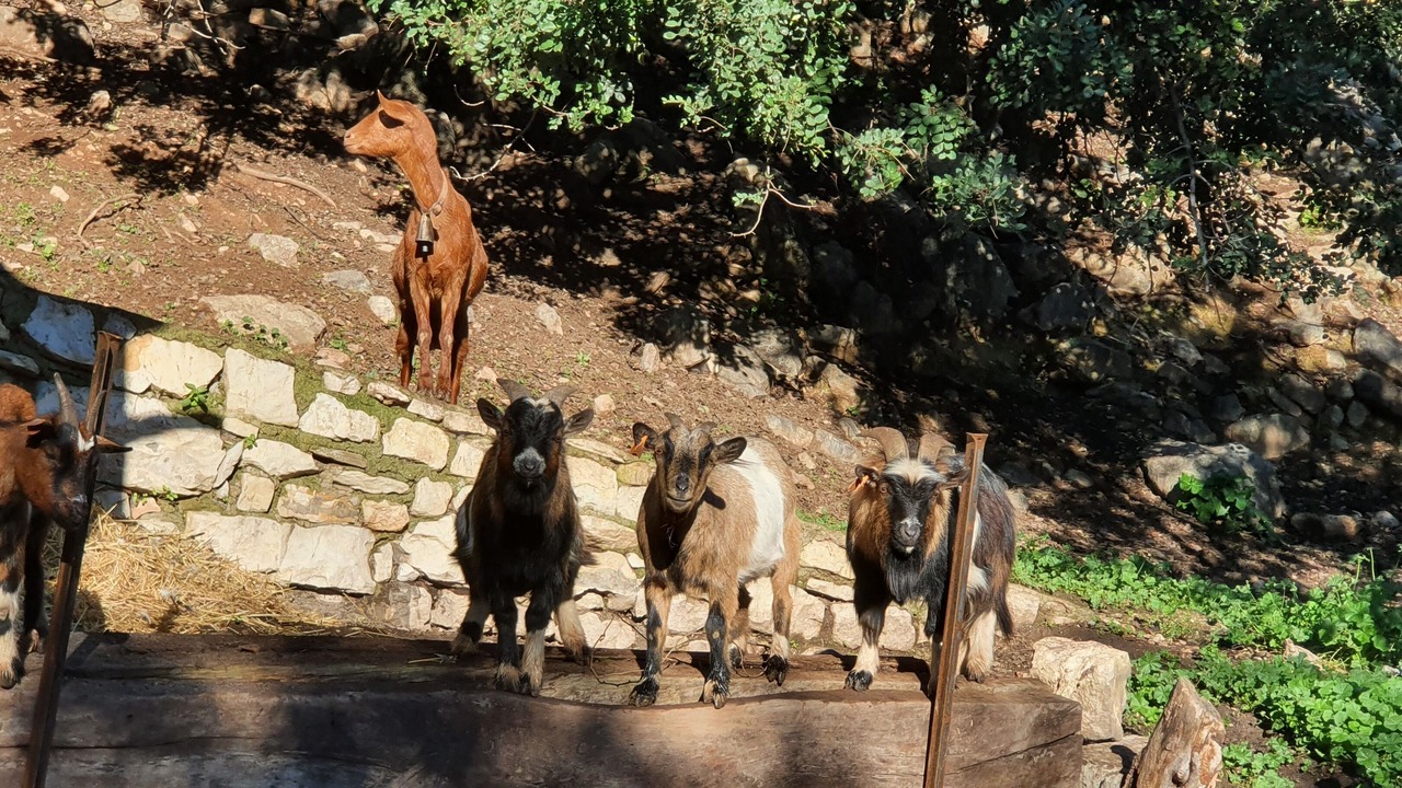 Photo of Outdoor in Gaucin