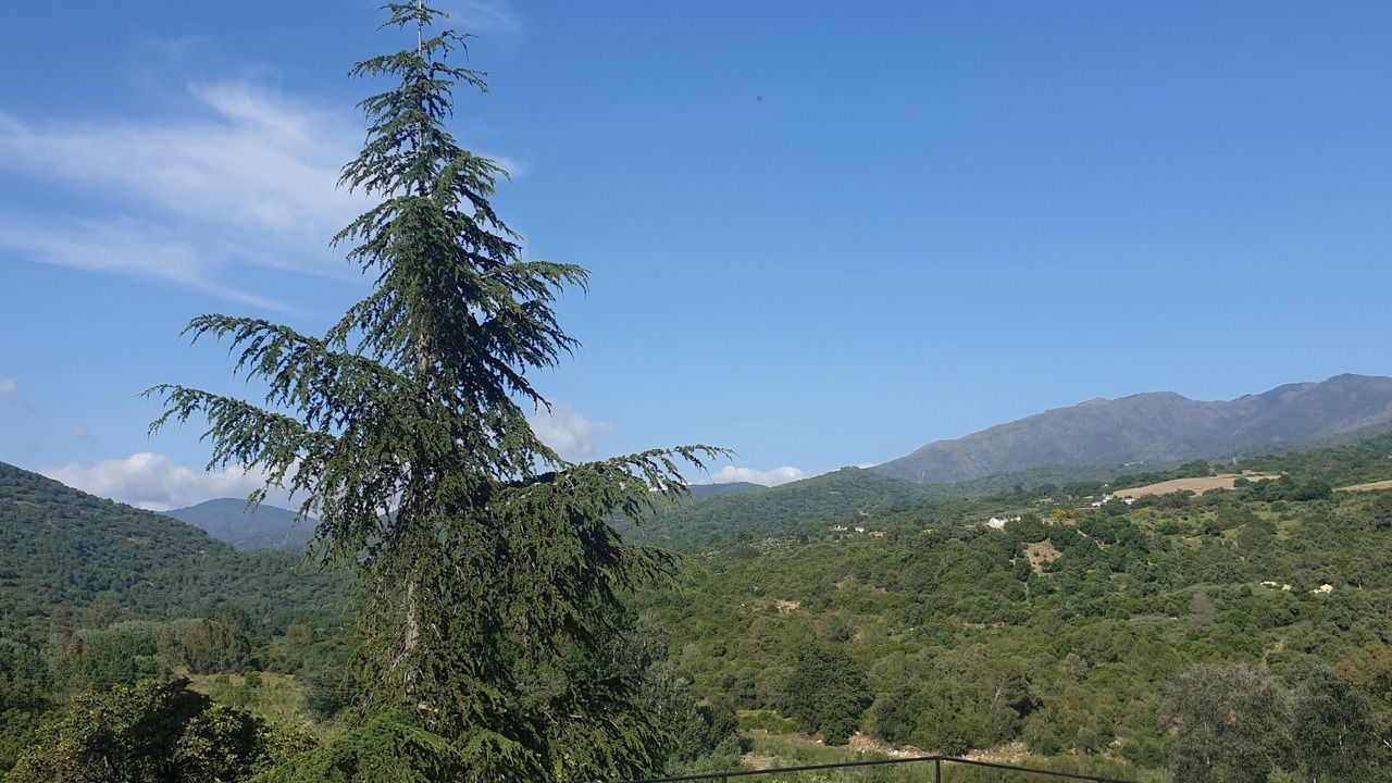 Photo of Outdoor in Gaucin