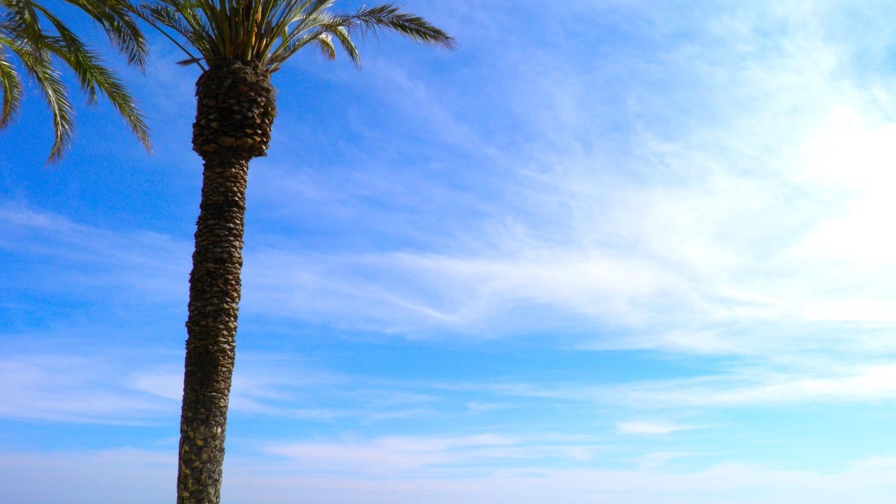 Photo of Others in Bahia de Casares