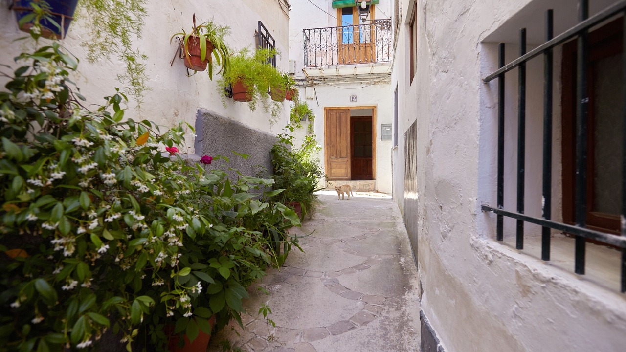 Photo of Outdoor in Quesada