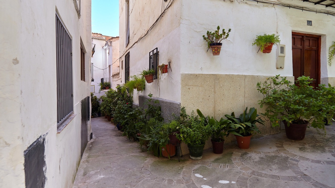 Photo of Outdoor in Quesada