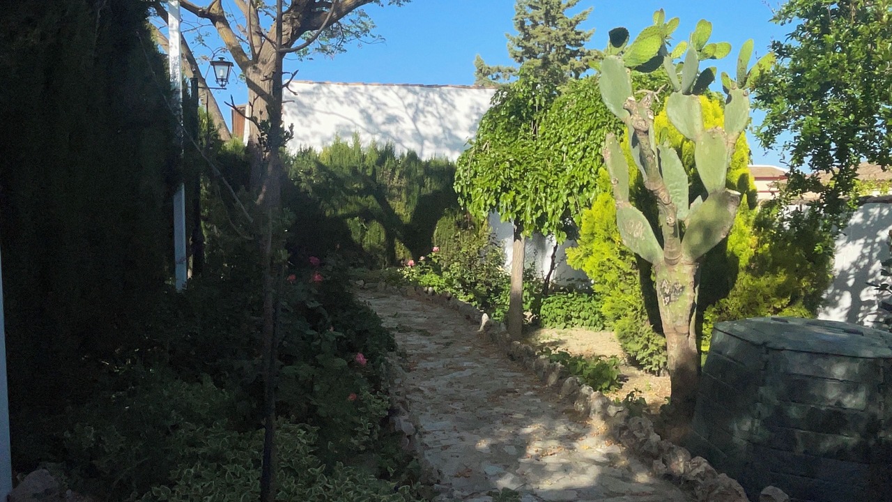 Photo of Outdoor in Priego de Cordoba