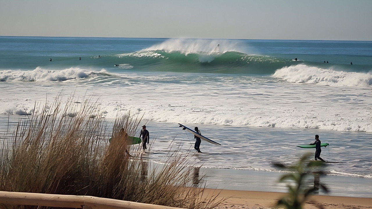 Photo of Others in El Palmar