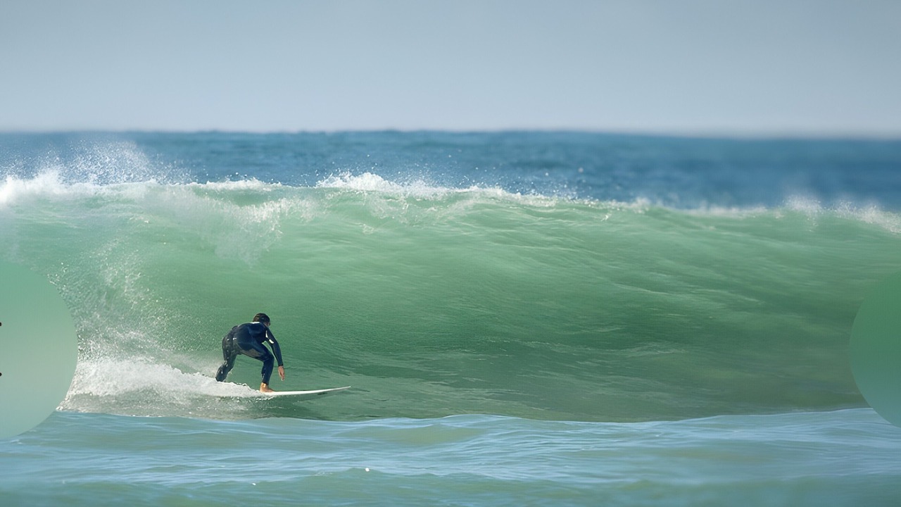 Photo of Others in El Palmar