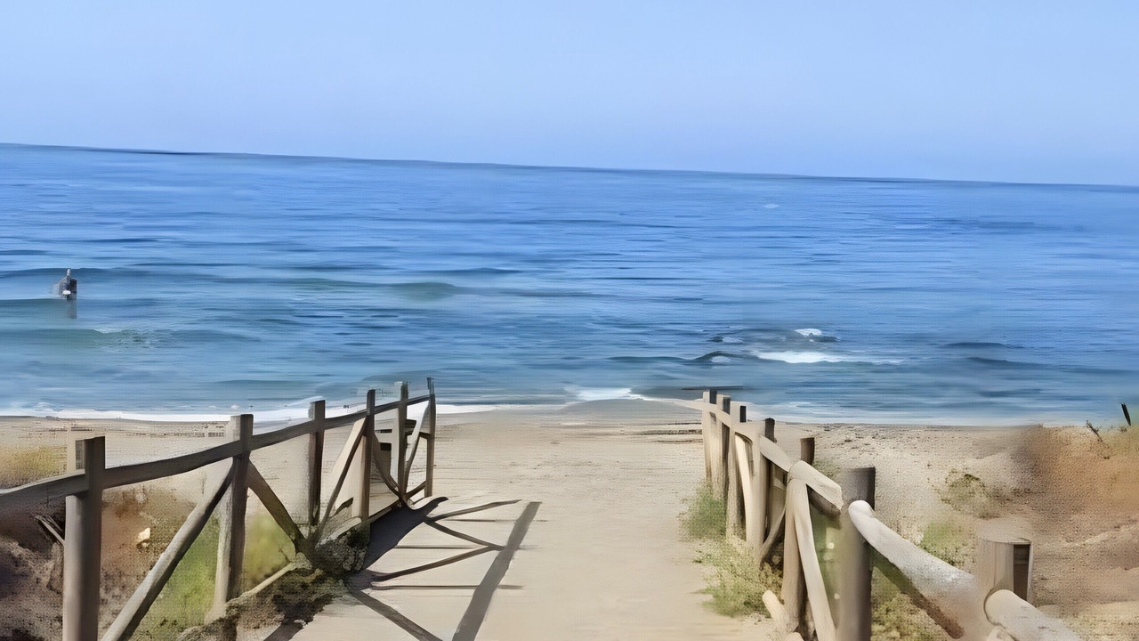 Photo of Others in El Palmar