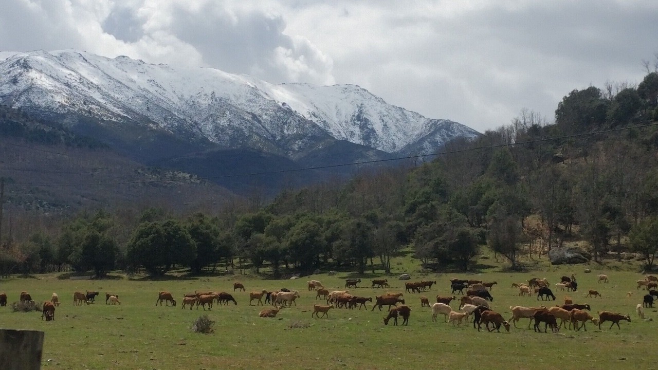 Photo of Others in Navaluenga