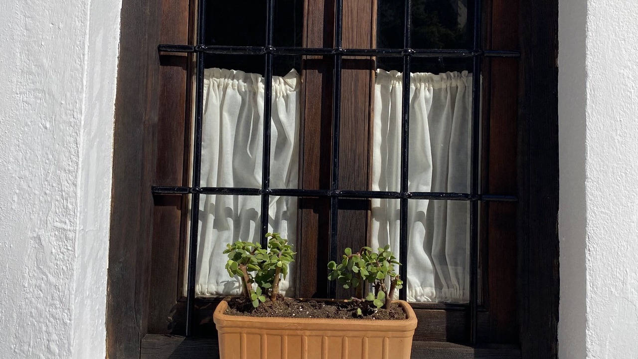 Photo of Outdoor in Olvera