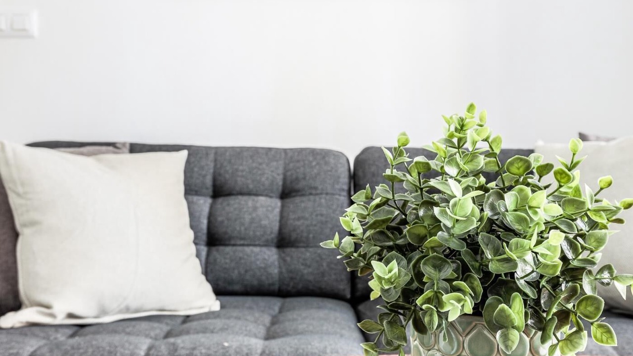 Photo of Livingroom in Feria